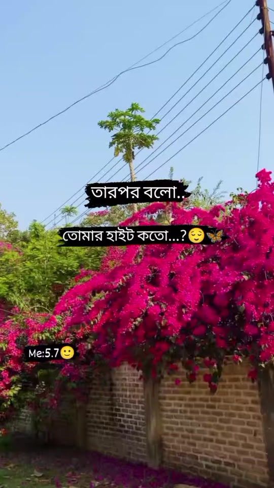 TikTok video thumbnail by h_a_s_h_i_4