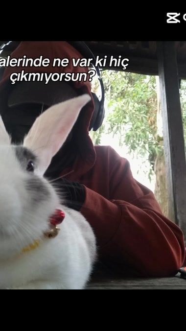TikTok video thumbnail by gizem_53_18
