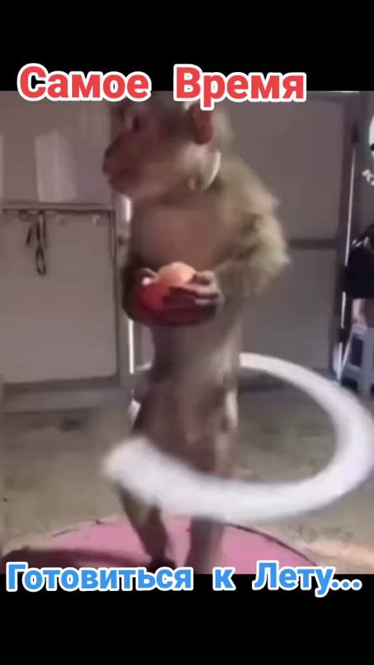 TikTok video thumbnail by bogachan78
