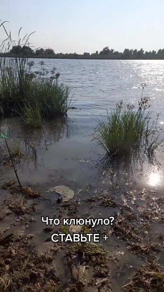 TikTok video thumbnail by kolesnikov56
