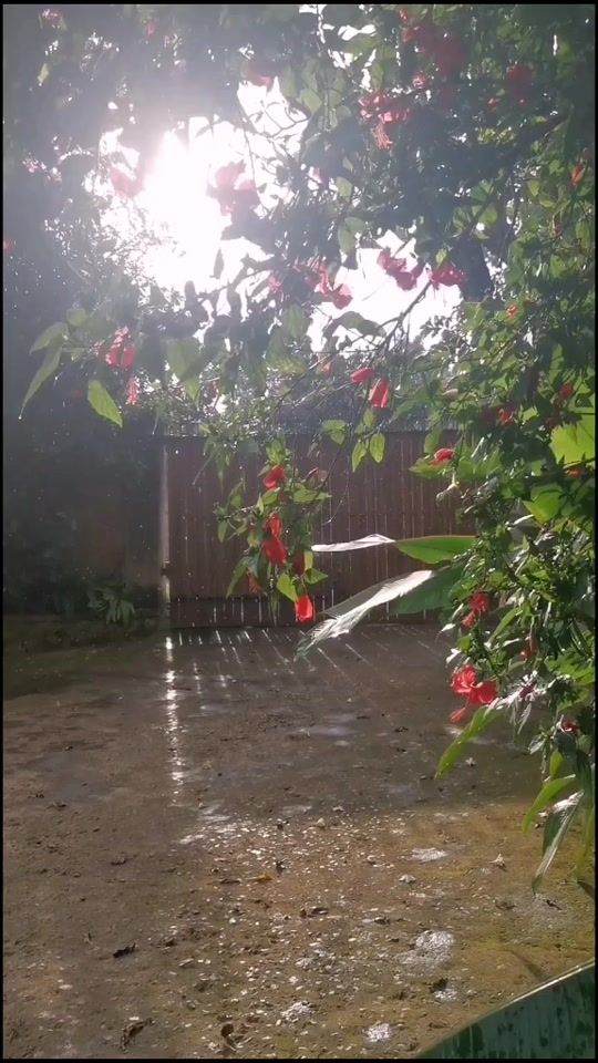 TikTok video thumbnail by tamari_256
