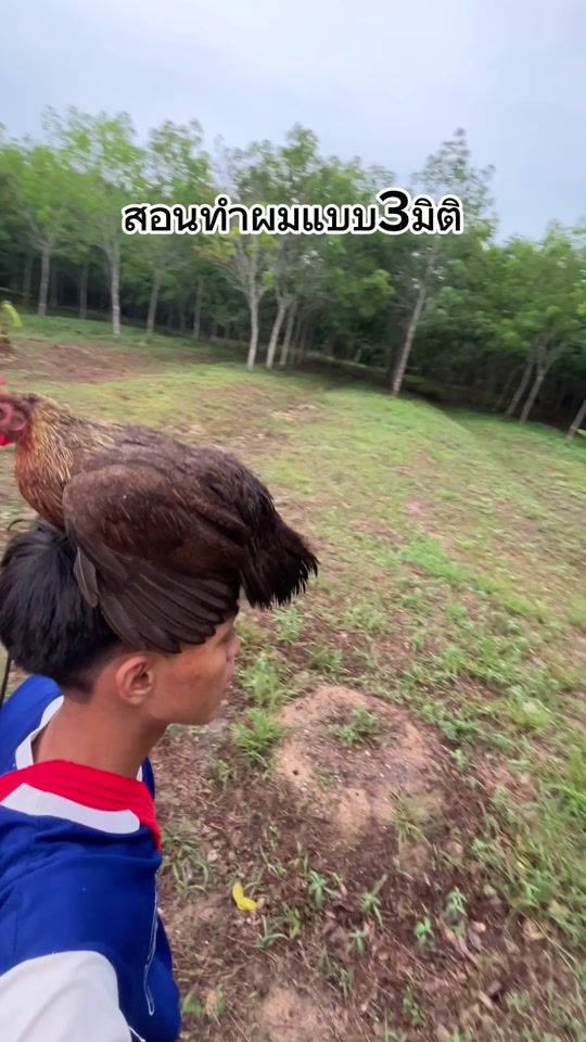 TikTok video thumbnail by hollychaneel