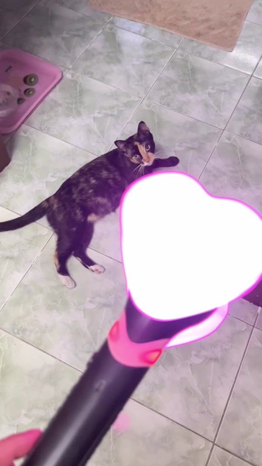 TikTok video thumbnail by aorawan1978