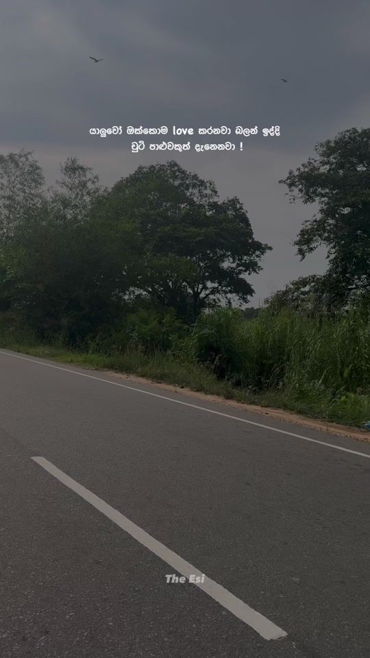 TikTok video thumbnail by esi_quotes