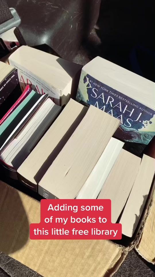 TikTok video thumbnail by tobereadbookshelf