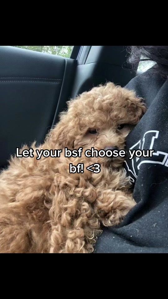 TikTok video thumbnail by speedy.songsforyou