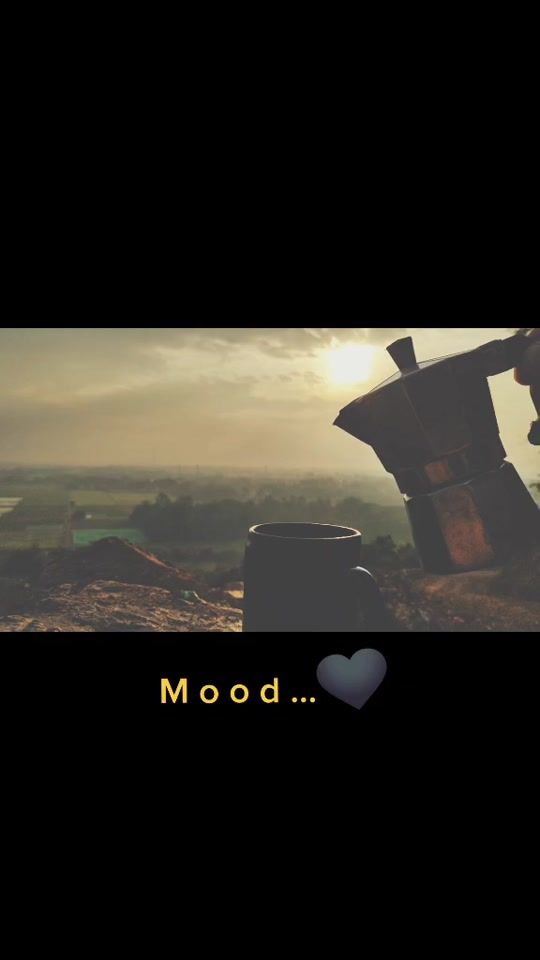 TikTok video thumbnail by bird_way