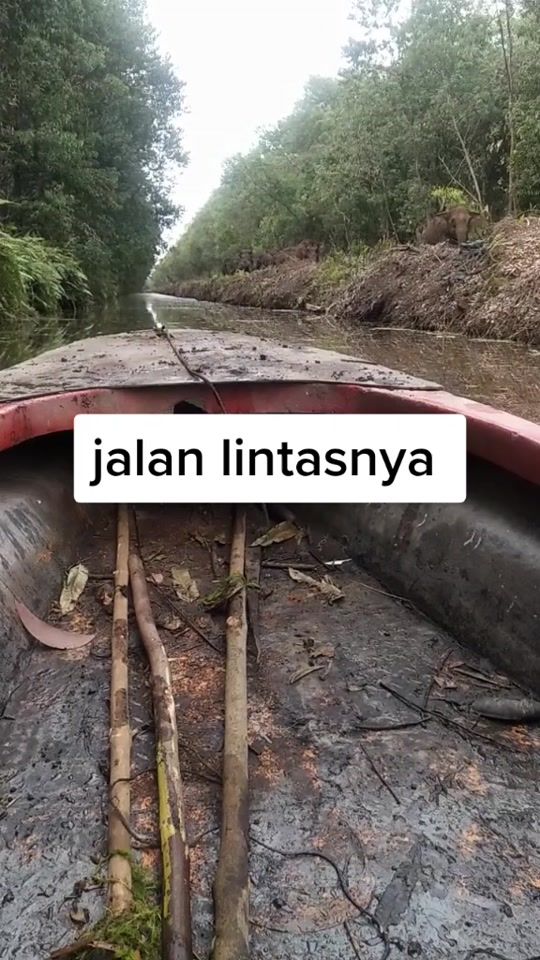 TikTok video thumbnail by m.adong.anggara