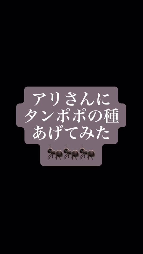 TikTok video thumbnail by yumapoi