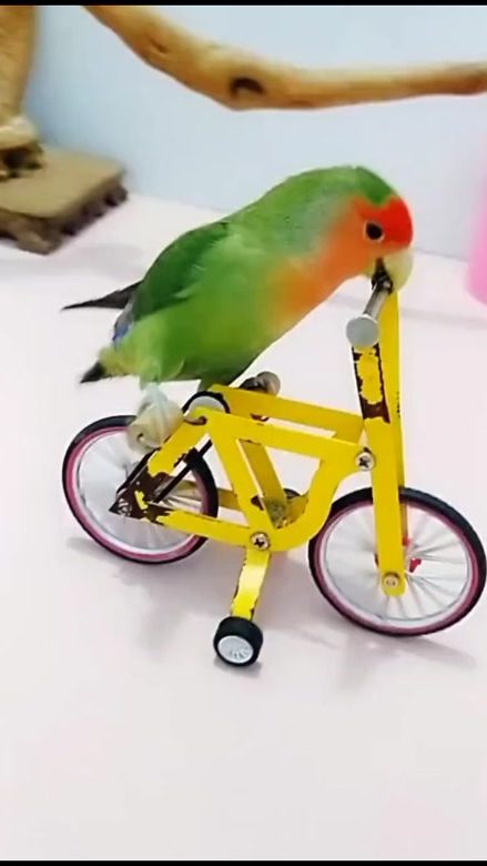 TikTok video thumbnail by jordan_drawng