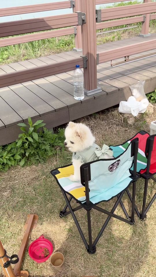 TikTok video thumbnail by xo_hari_