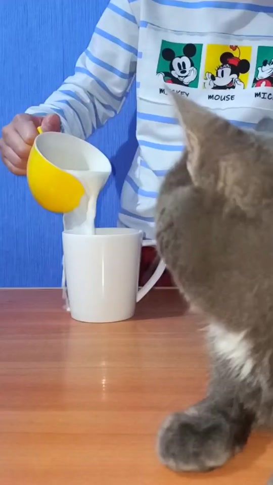 TikTok video thumbnail by tiktokeda5
