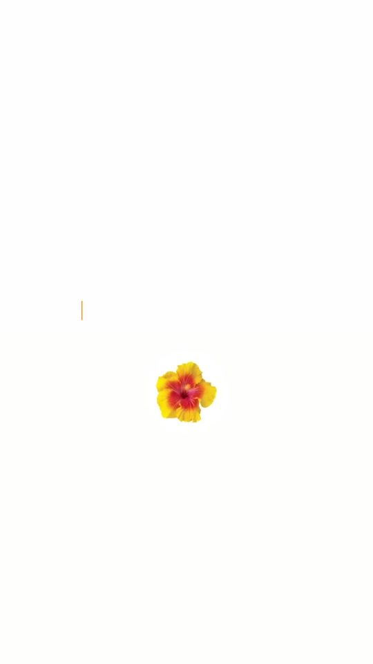 TikTok video thumbnail by ur.freja