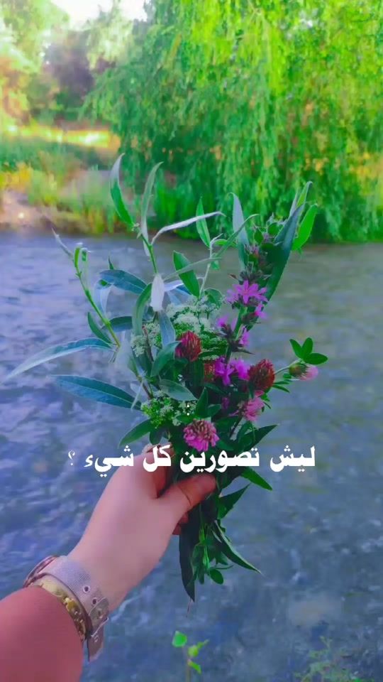 TikTok video thumbnail by shwosho