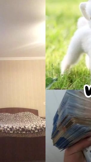 TikTok video thumbnail by gogoshvili2