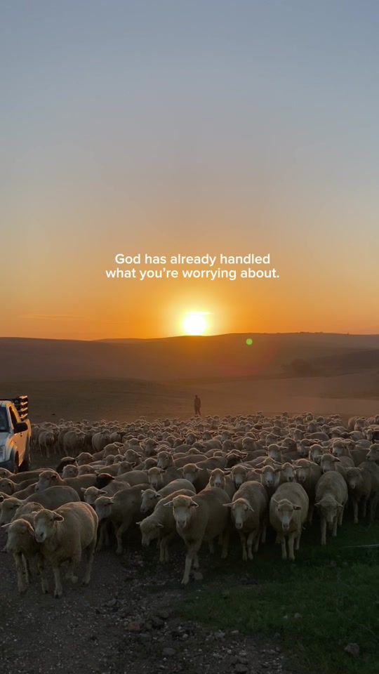 TikTok video thumbnail by henrybeukes