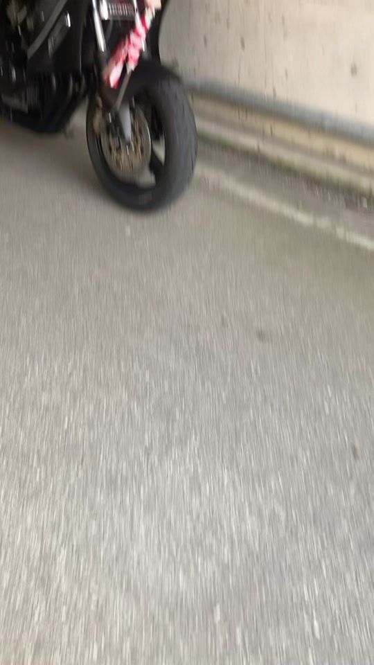 TikTok video thumbnail by arachan819