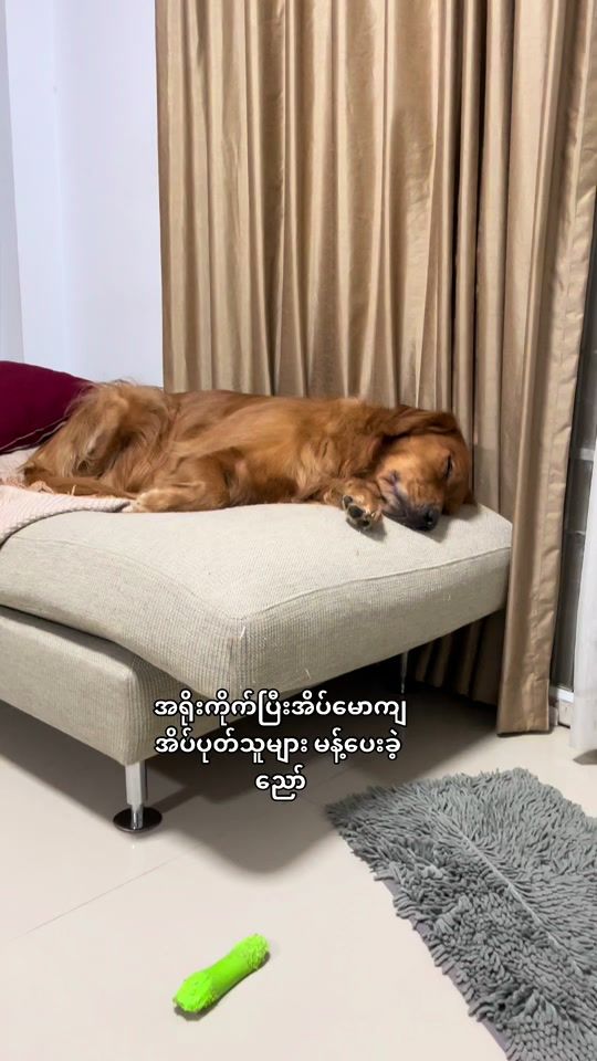 TikTok video thumbnail by browniebb1