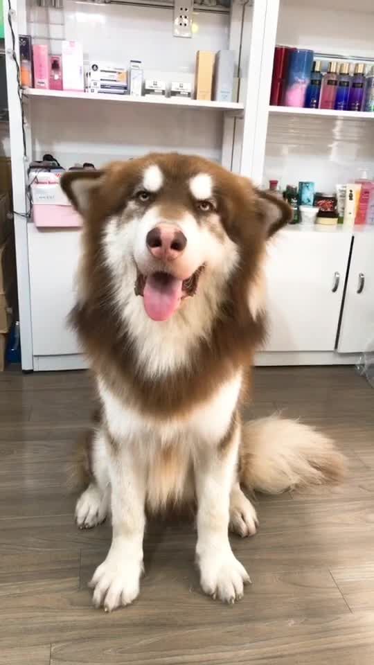 TikTok video thumbnail by sun21129x