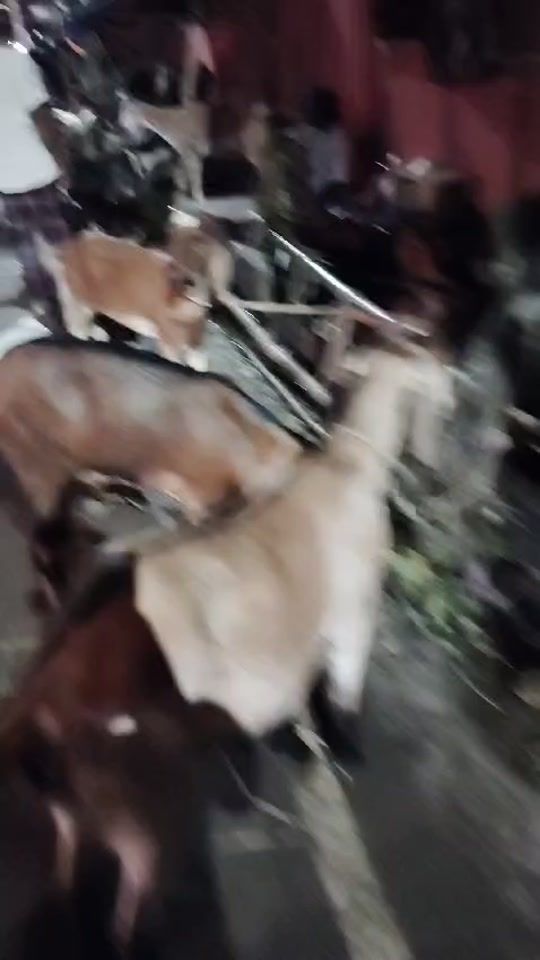 TikTok video thumbnail by da.da.va