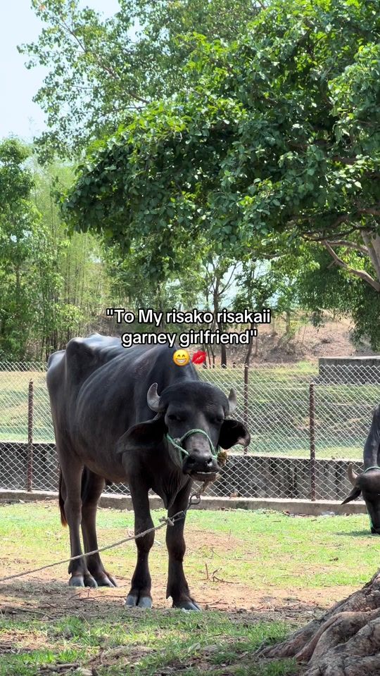 TikTok video thumbnail by kxak5