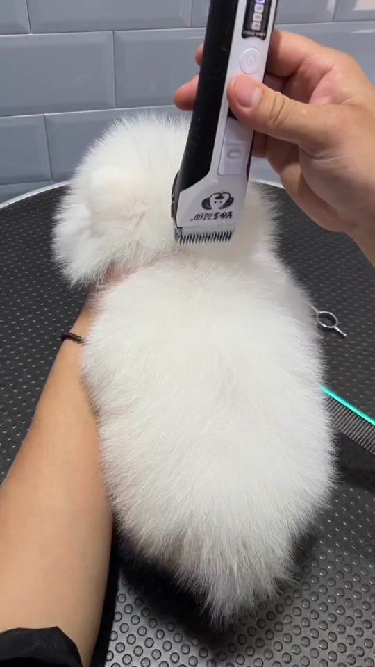 TikTok video thumbnail by yy3344999