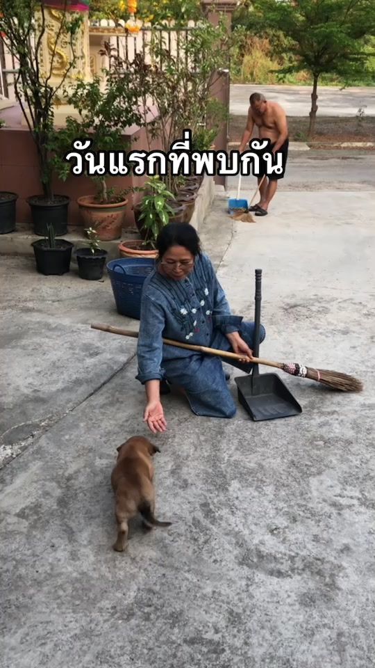 TikTok video thumbnail by chong77
