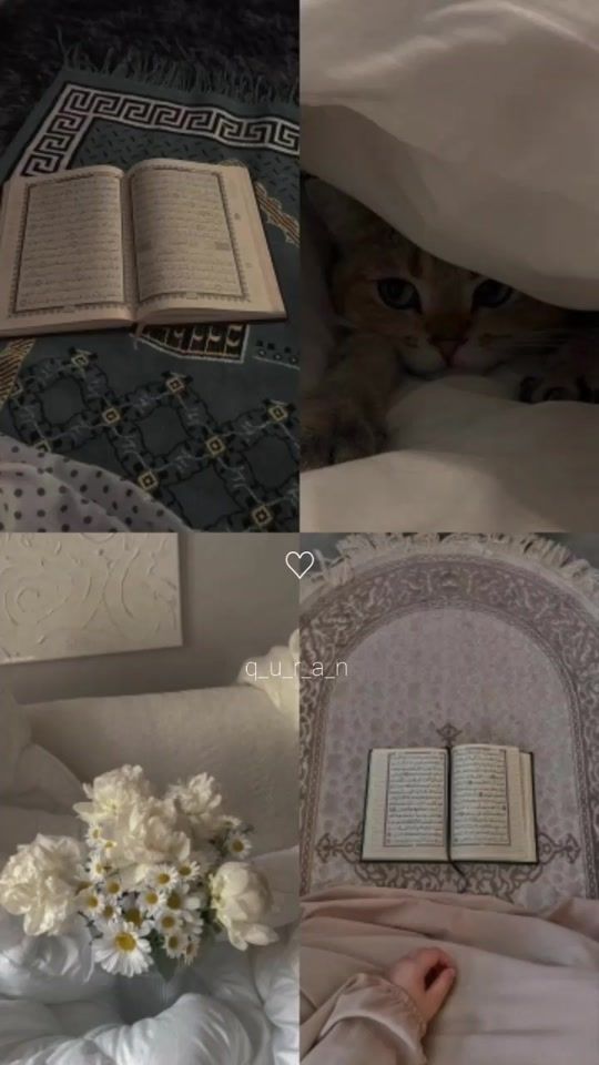 TikTok video thumbnail by q_u_r_a_n83