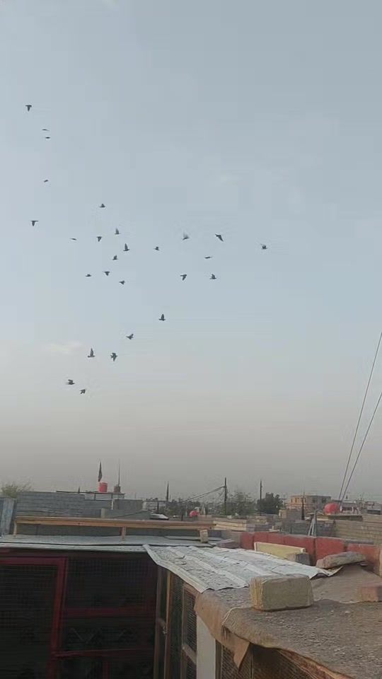 TikTok video thumbnail by f__f__12