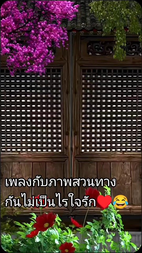 TikTok video thumbnail by thanya66