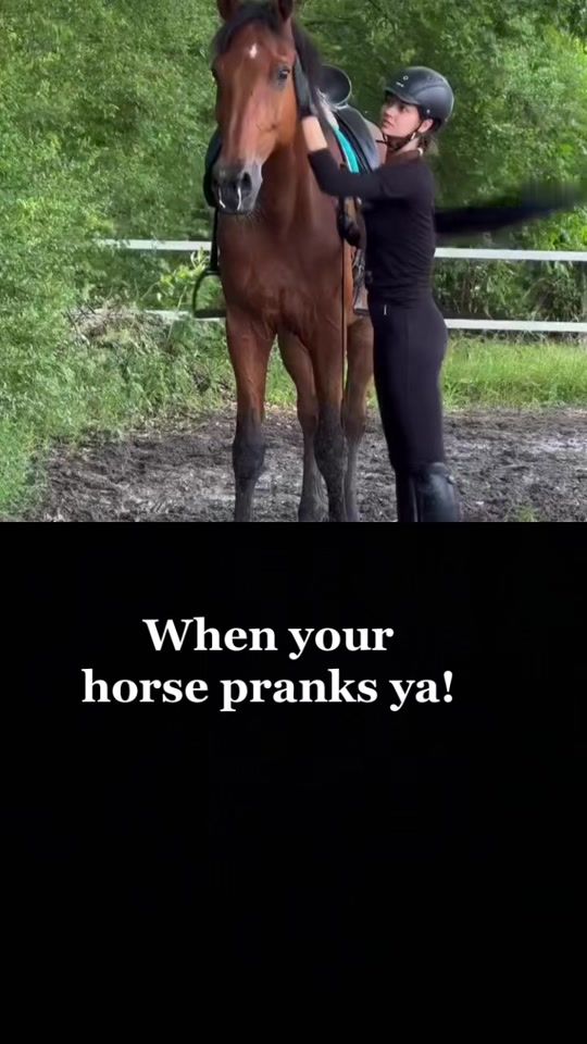 TikTok video thumbnail by smileindustry_laursajane