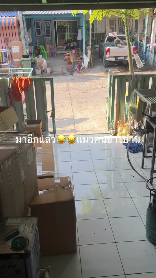 TikTok video thumbnail by mooy818