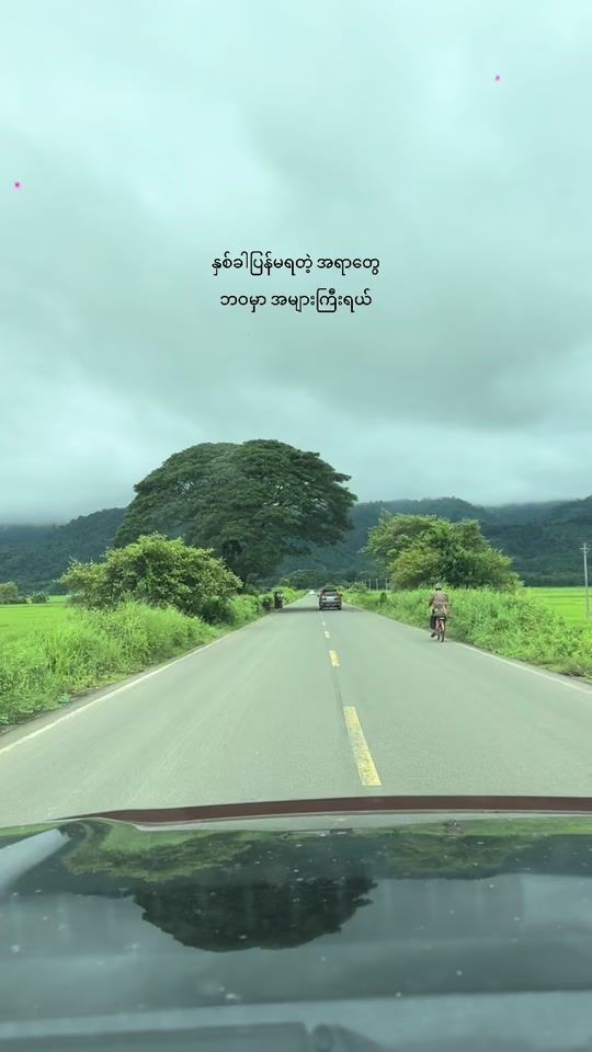 TikTok video thumbnail by towtow390