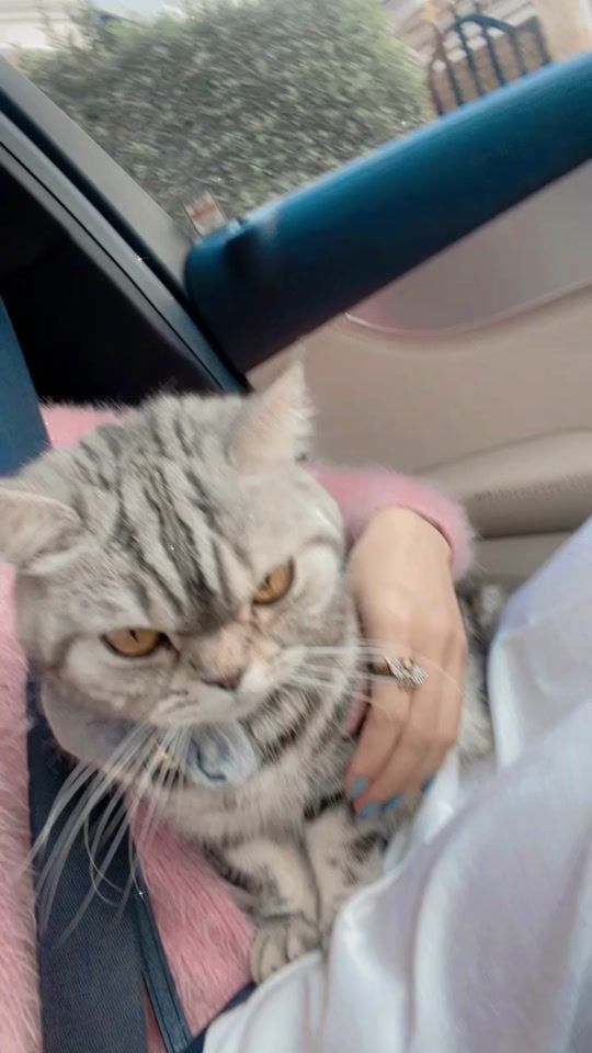 TikTok video thumbnail by love.cat947