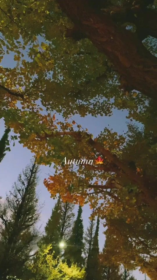 TikTok video thumbnail by arai_haruka