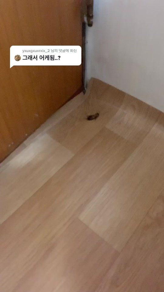 TikTok video thumbnail by user_zoon00