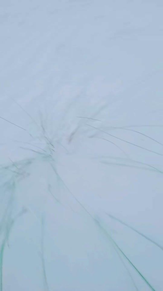 TikTok video thumbnail by lokmanhossain159