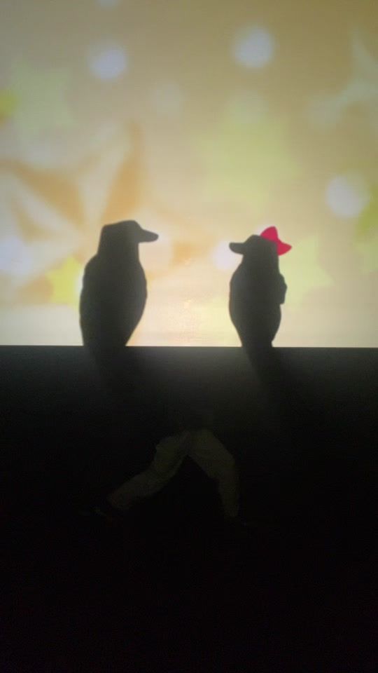 TikTok video thumbnail by hand_shadow_girls