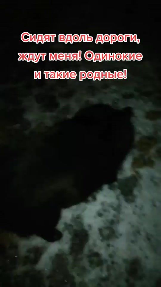 TikTok video thumbnail by dobridrugengsar