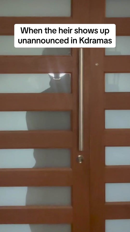 TikTok video thumbnail by kkokkoramen