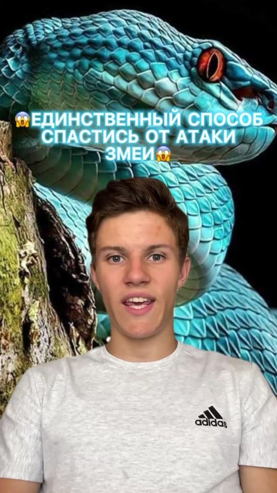 TikTok video thumbnail by grom4ik1212