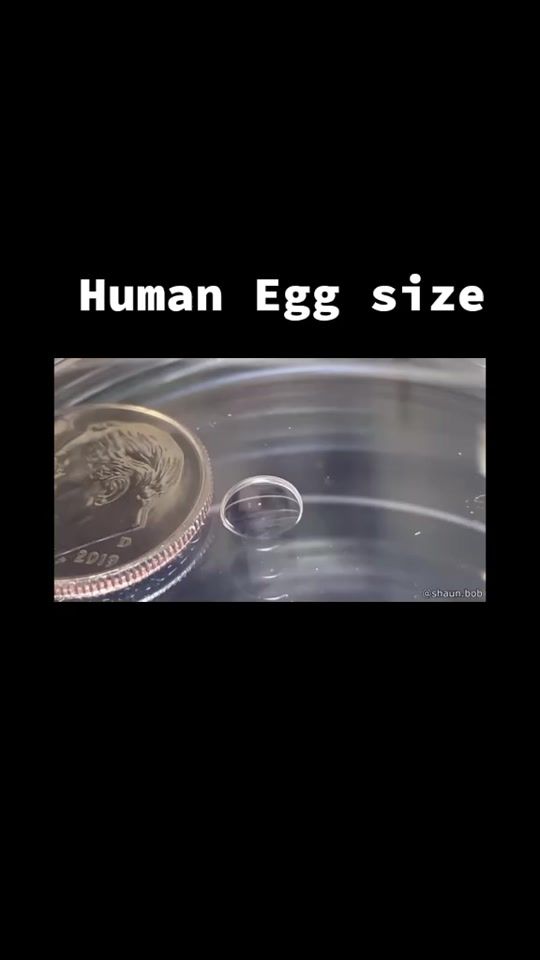 TikTok video thumbnail by its_hekate