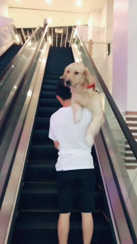 TikTok video thumbnail by giminsng13