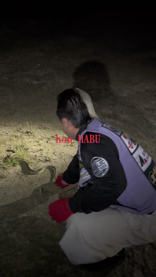 TikTok video thumbnail by okinawasamurai