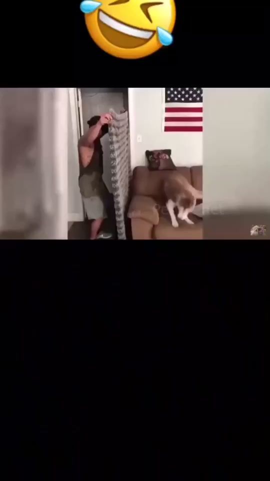 TikTok video thumbnail by bobmonroe0