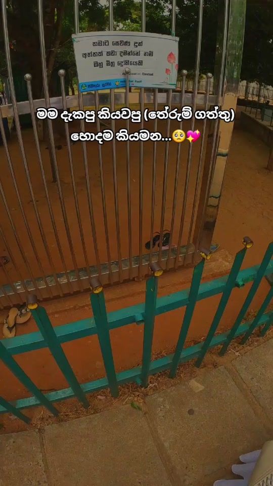 TikTok video thumbnail by kavindu_geethika