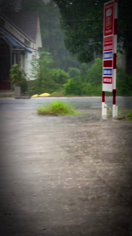 TikTok video thumbnail by nguyentuongvy335555