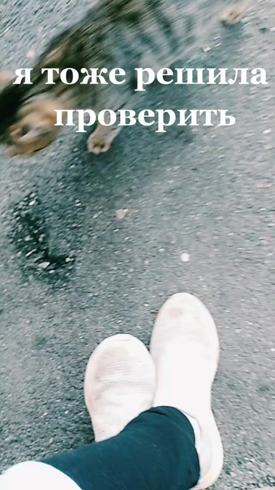 TikTok video thumbnail by nyan_cat015