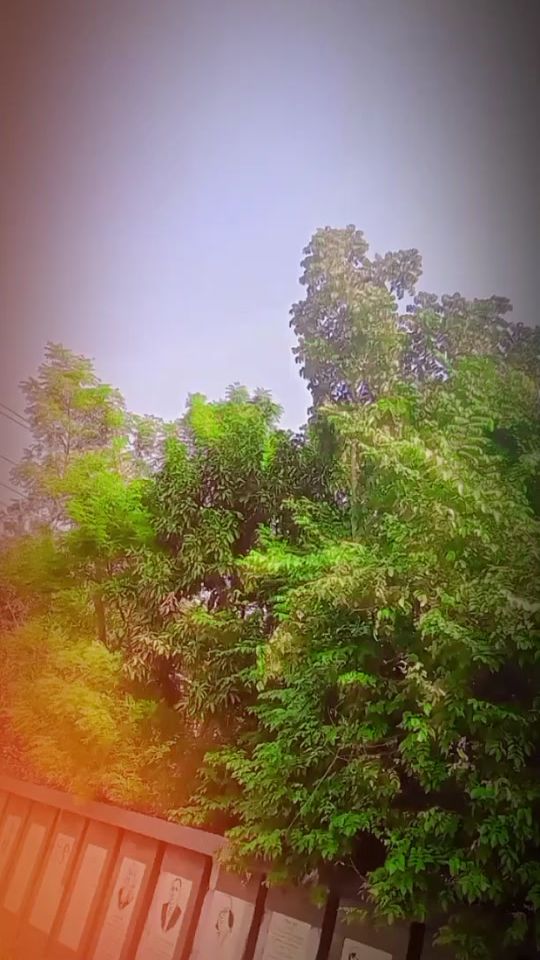 TikTok video thumbnail by mayamonyrita