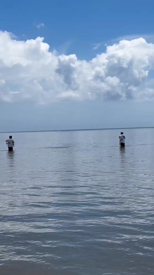 TikTok video thumbnail by morimori.buddy3